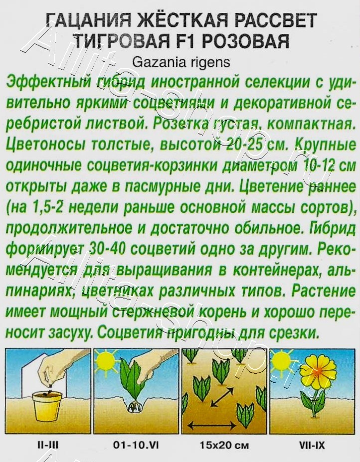 Гацания Рассвет F1 тигровая розовая 4шт