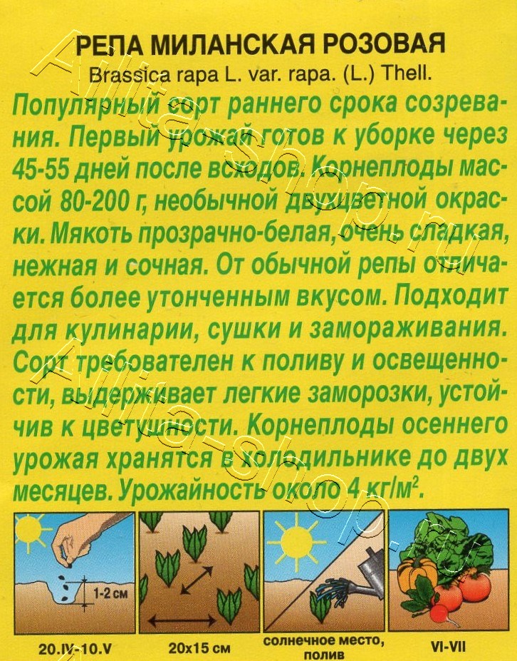 Репа Миланская розовая 1г