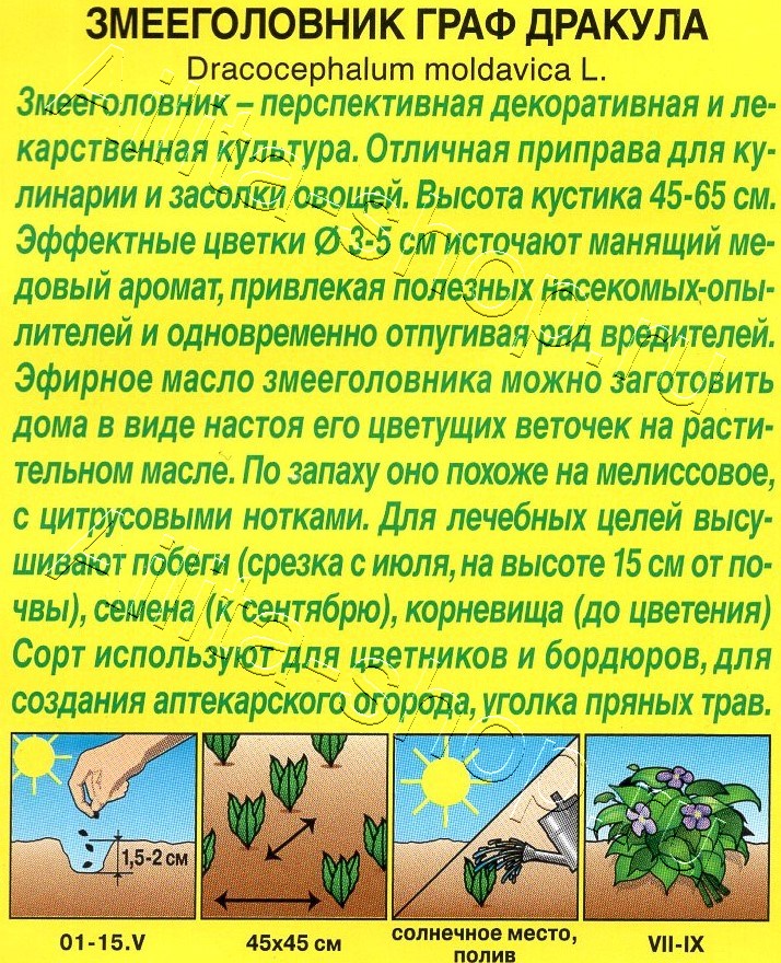 Змееголовник Граф Дракула 0,1г