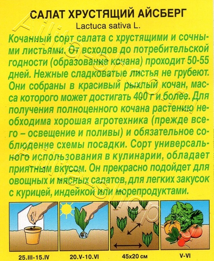 Салат Хрустящий айсберг 0,5г