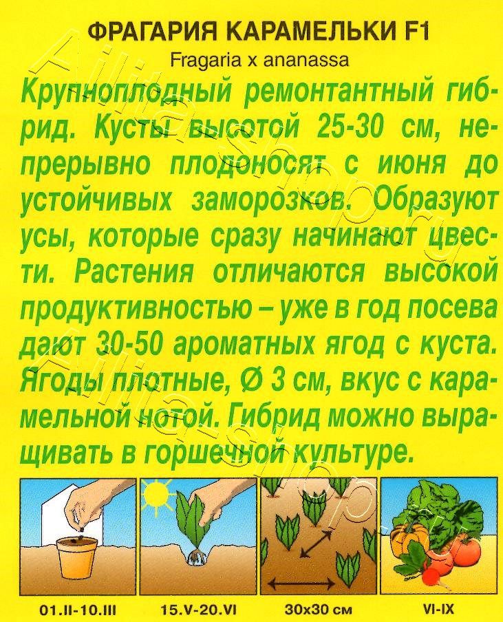 Земляника ремонтантная крупноплодная Карамельки F1 10шт