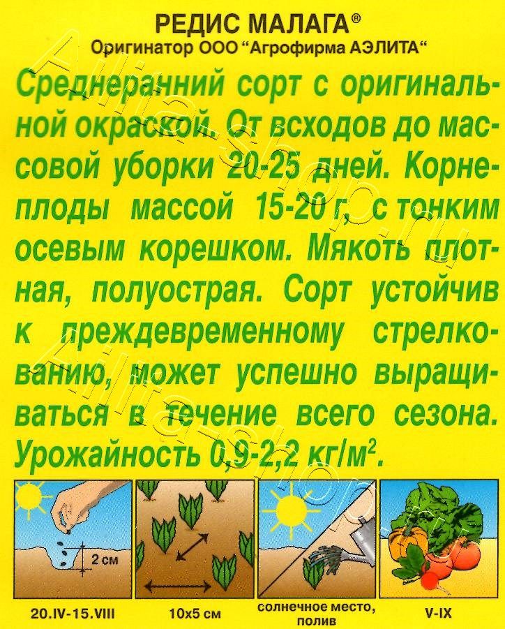 Редис Малага 2г