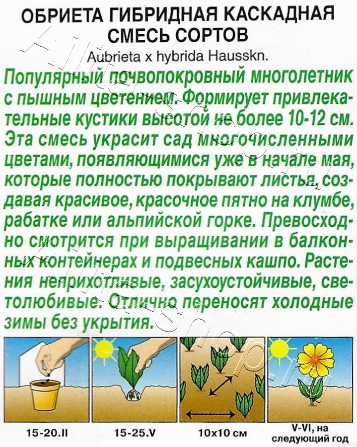 Обриета Каскадная, смесь сортов 0,05г