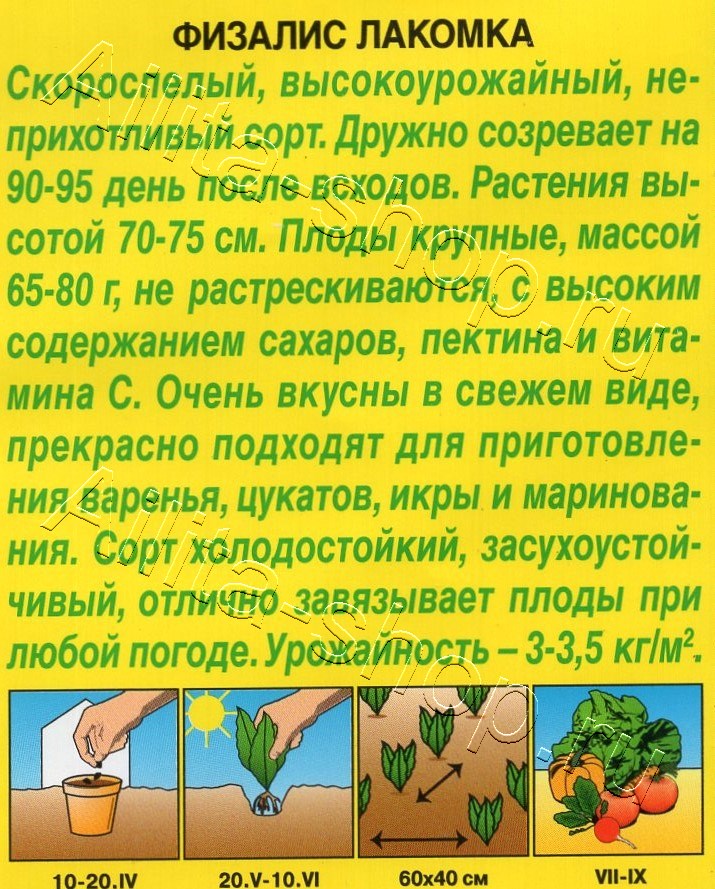 Физалис Лакомка 0,2г