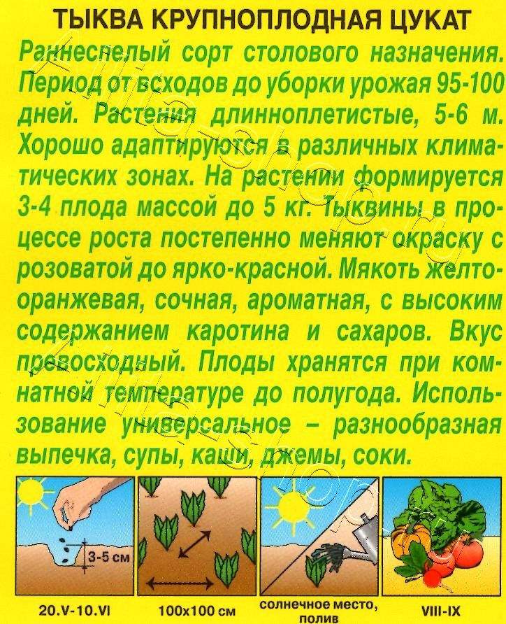 Тыква крупноплодная Цукат 1г