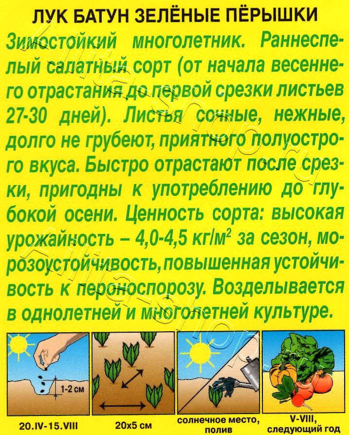 Лук батун Зеленые перышки 0,5г