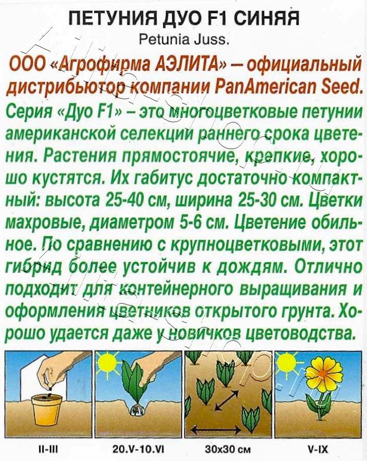 Петуния Дуо F1 синяя многоцветковая махровая 5шт