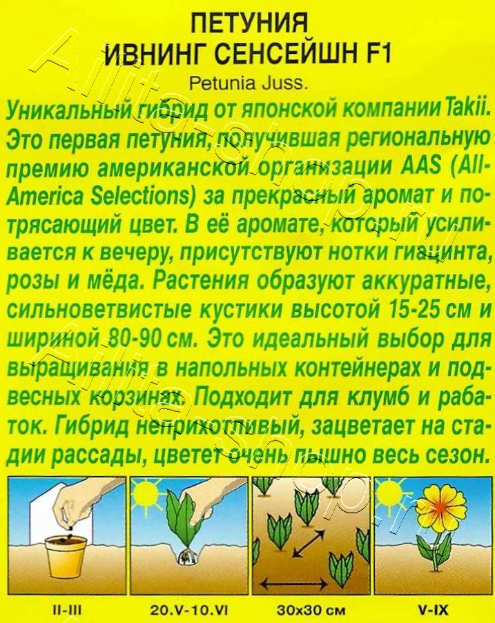 Петуния Ивнинг Сенсейшн F1 5шт