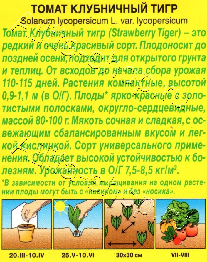 Томат Клубничный тигр 20шт