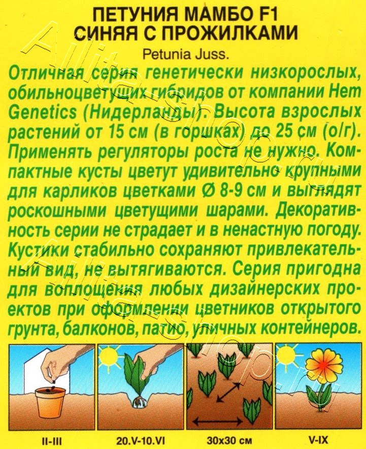 Петуния Мамбо F1 синяя с прожилками 7шт