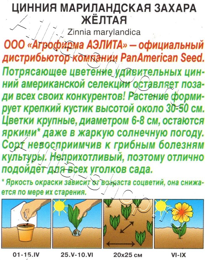 Цинния Захара жёлтая 5шт