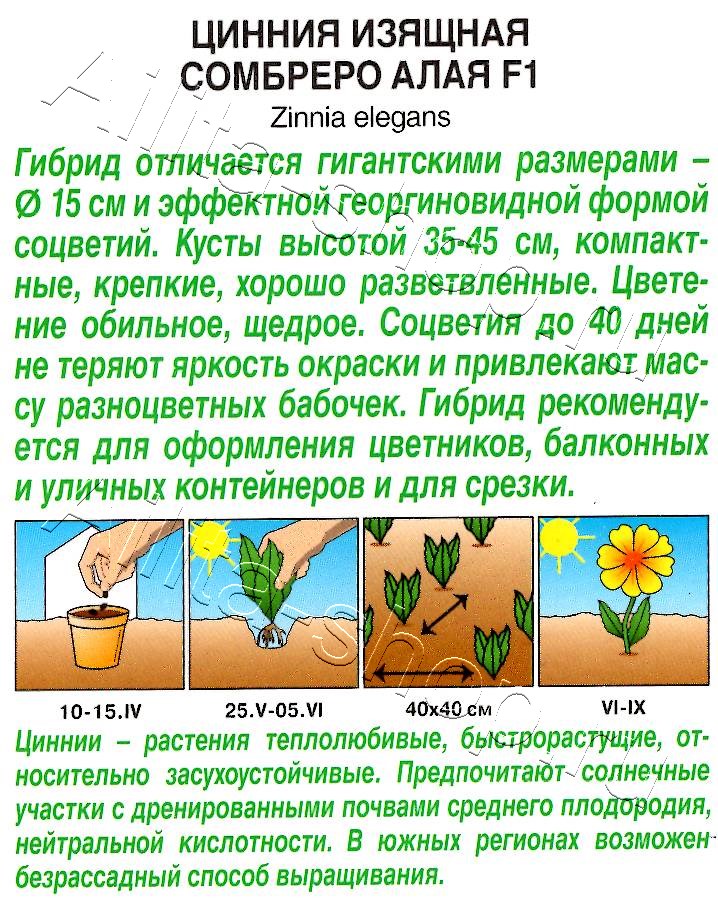 Цинния Сомбреро F1 алая 12шт