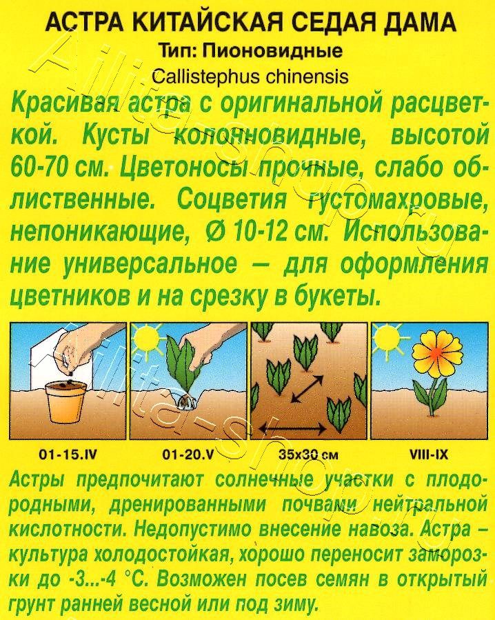 Астра Седая дама 0,2г