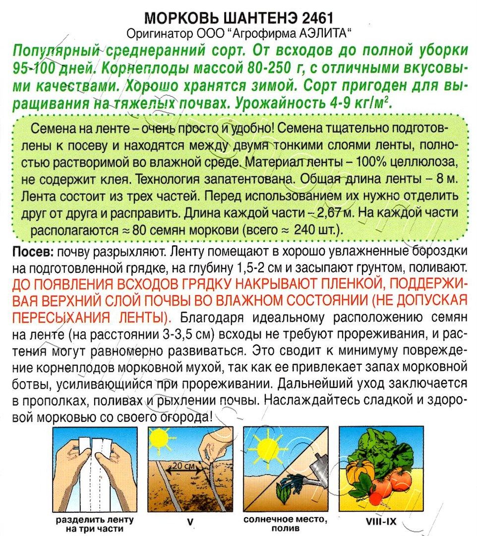 Морковь Шантенэ 2461 на ленте 8м