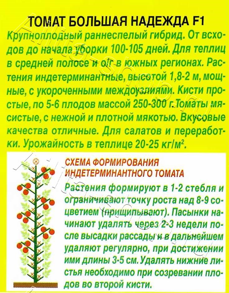 Томат Большая надежда F1 15шт