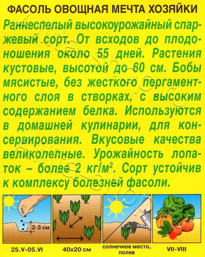 Фасоль овощная Мечта хозяйки 5г