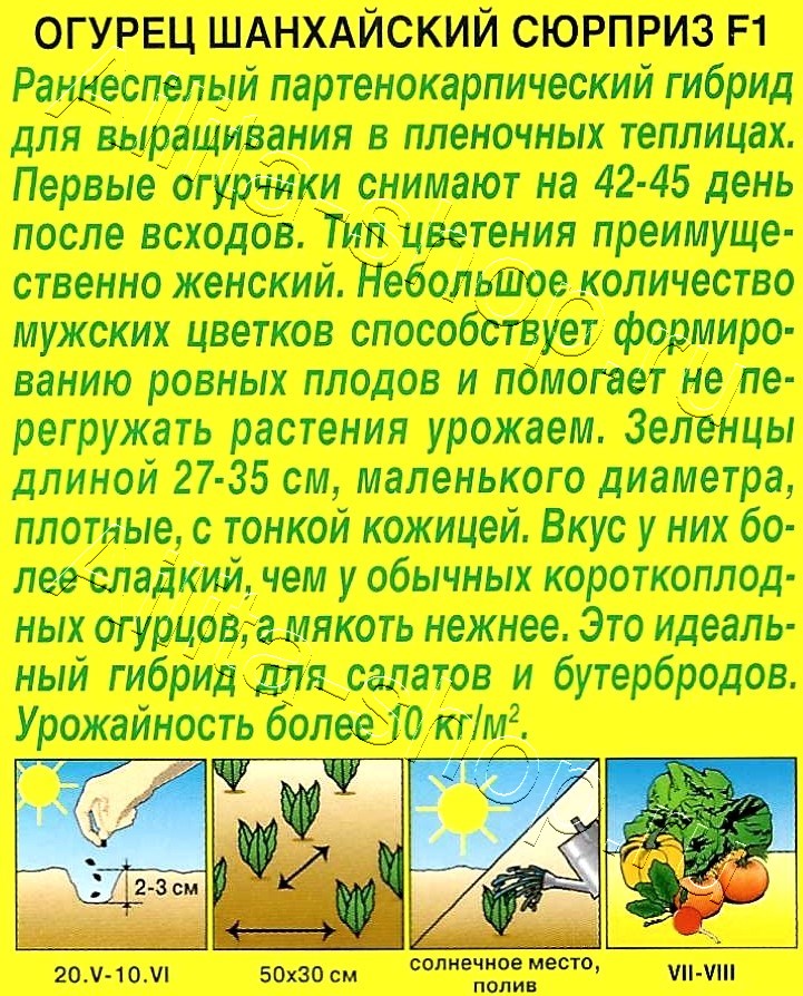 Огурец Шанхайский сюрприз F1 10шт