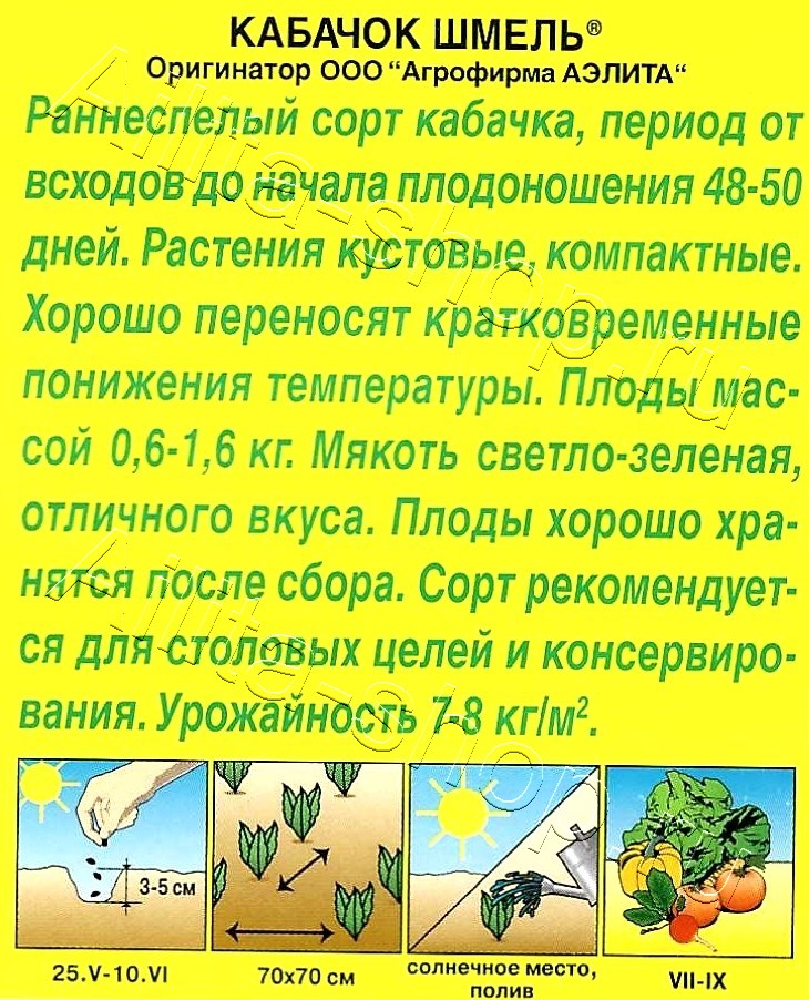 Кабачок цуккини Шмель 1г