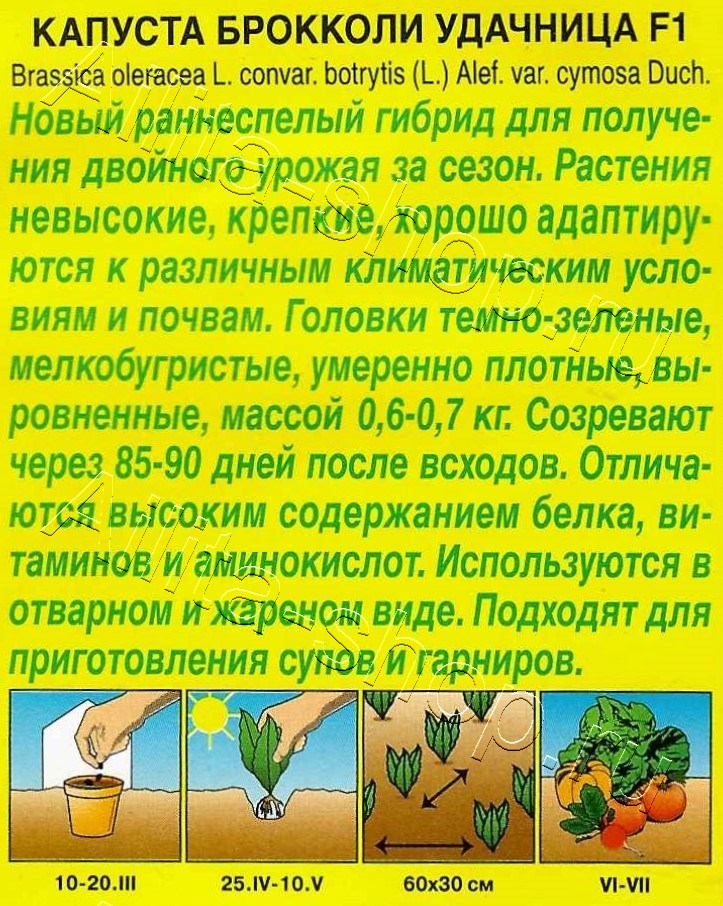 Капуста брокколи Удачница F1 0,1г