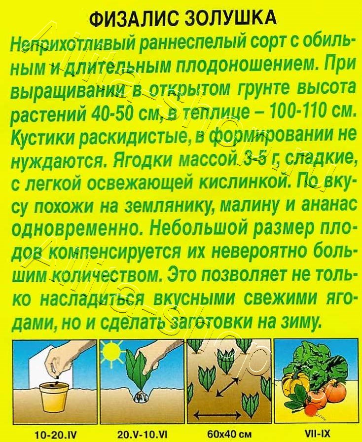 Физалис Золушка 0,2г