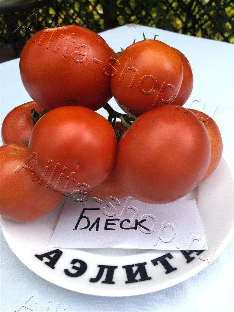 Томат Блеск F1 15шт