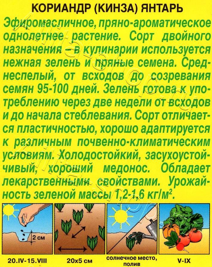 Кориандр Янтарь 3г