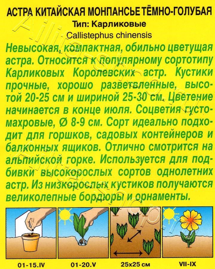 Астра Монпансье темно-голубая 0,2г