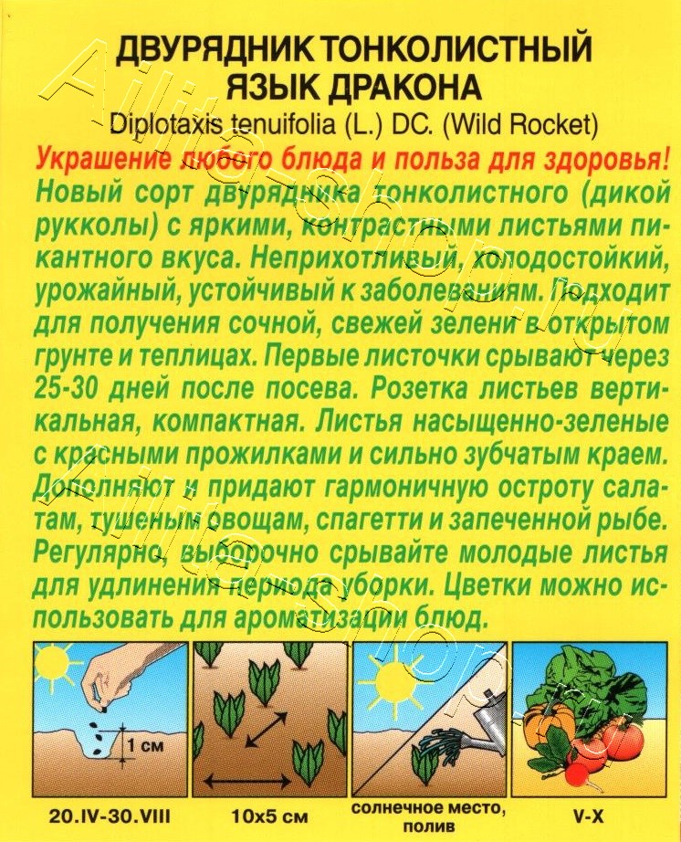 Двурядник тонколистный Язык дракона 0,03г