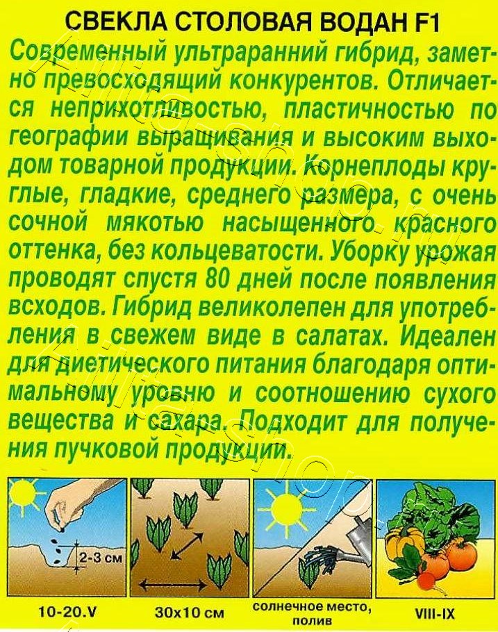 Свекла столовая Водан F1 50шт
