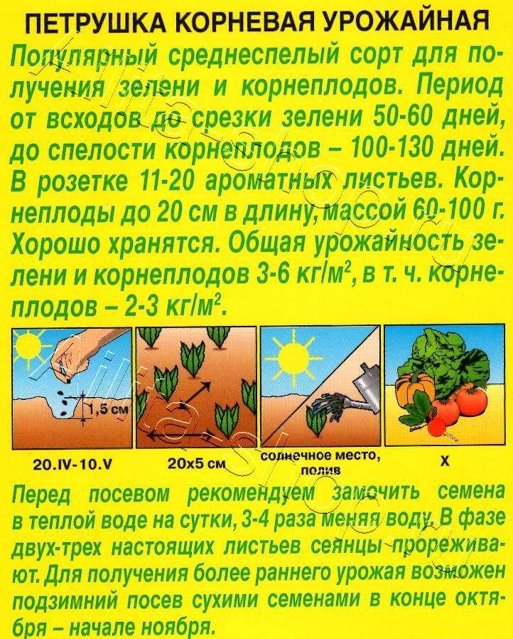 Петрушка корневая Урожайная 2г