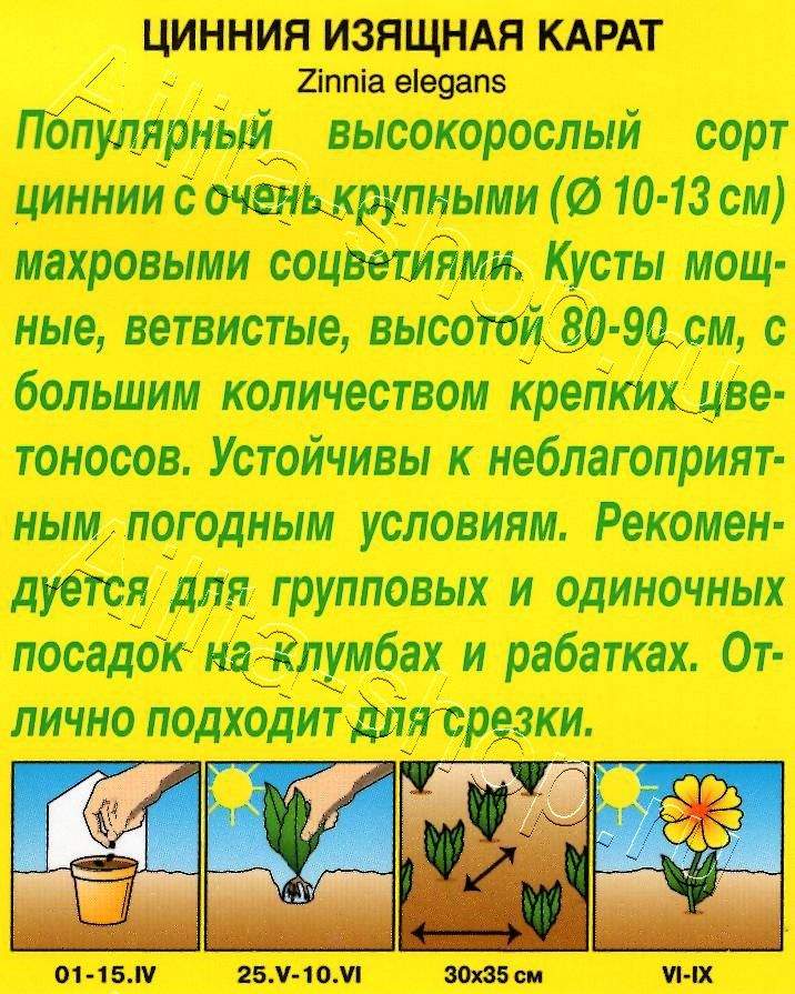 Цинния Карат 0,3г