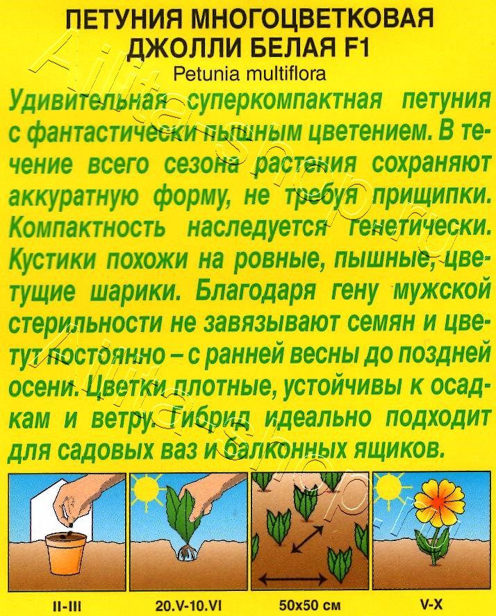Петуния Джолли белая F1 многоцветковая 7шт