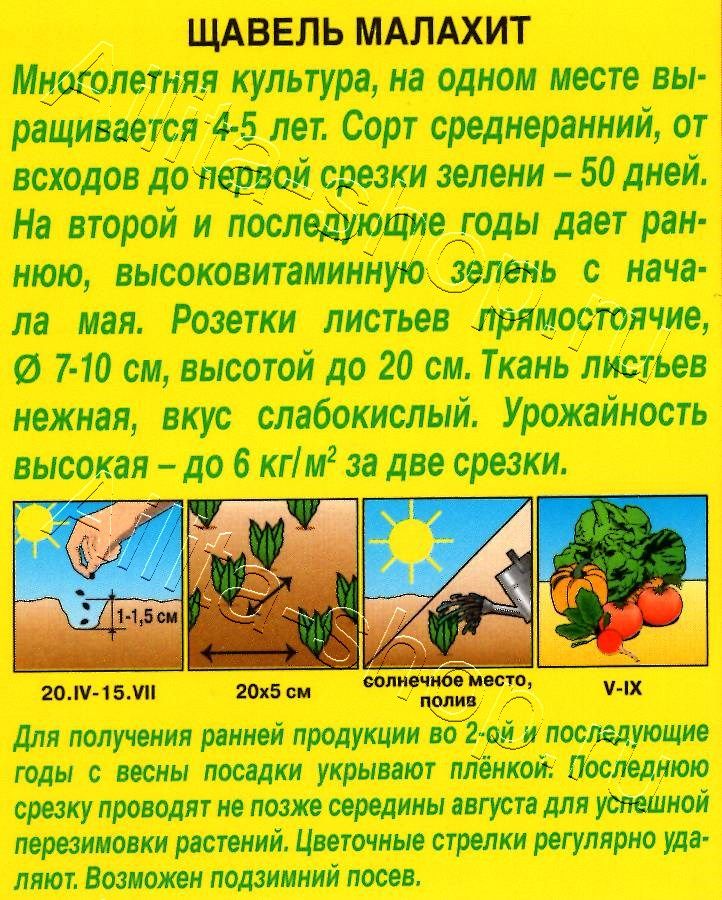 Щавель Малахит 0,5г