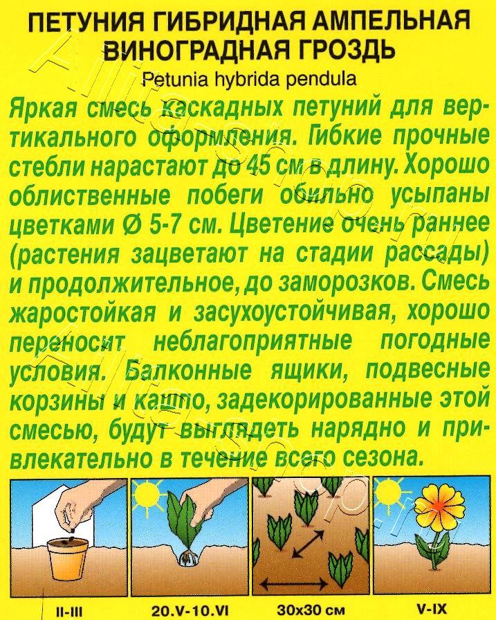 Петуния Виноградная гроздь каскадная, смесь сортов 0,05г