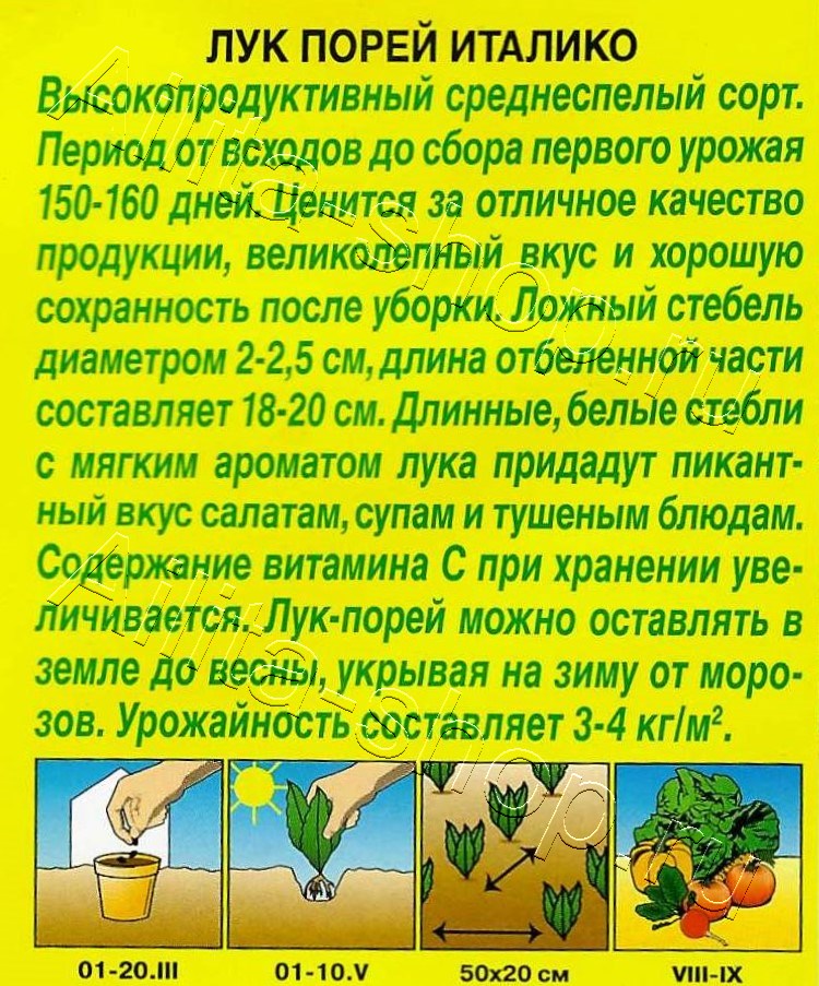 Лук порей Италико 0,5г