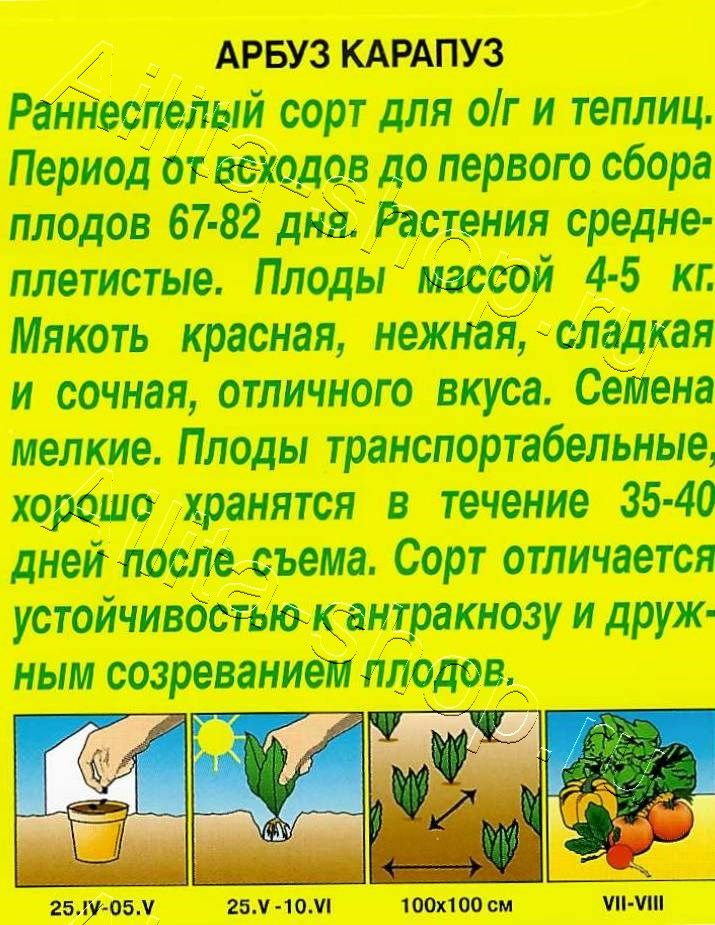 Арбуз Медовик 1г