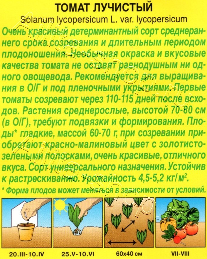 Томат Лучистый 20шт