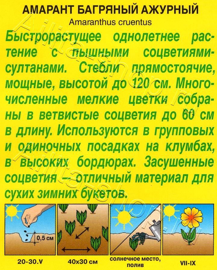 Амарант Ажурный 0,2г