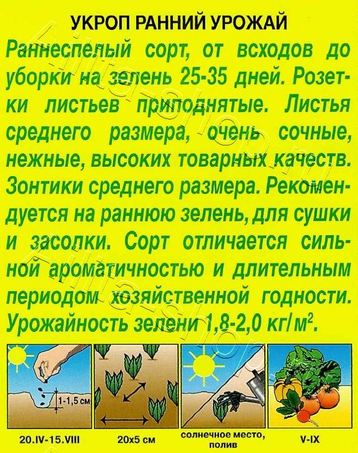 Укроп Ранний урожай 3г