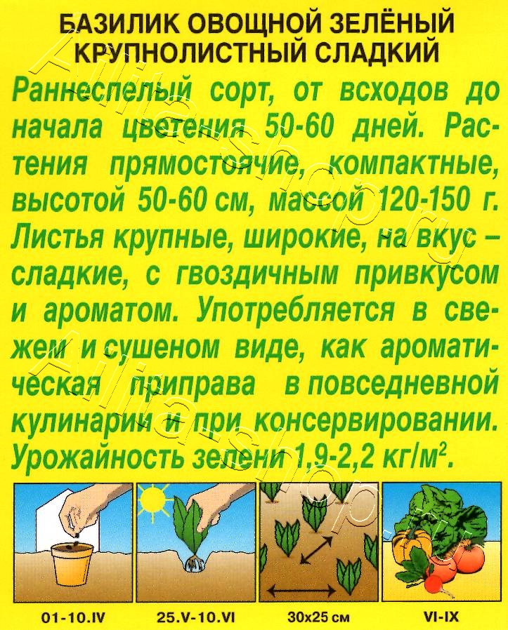 Базилик овощной Зеленый крупнолистный сладкий 0,2г