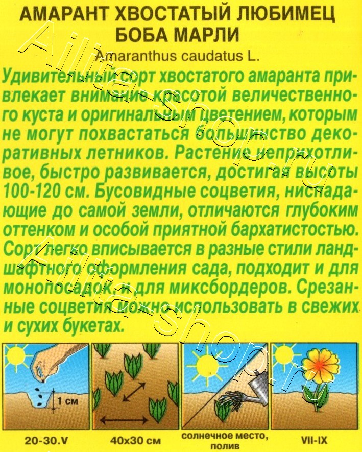 Амарант Любимец Боба Марли 0,05г
