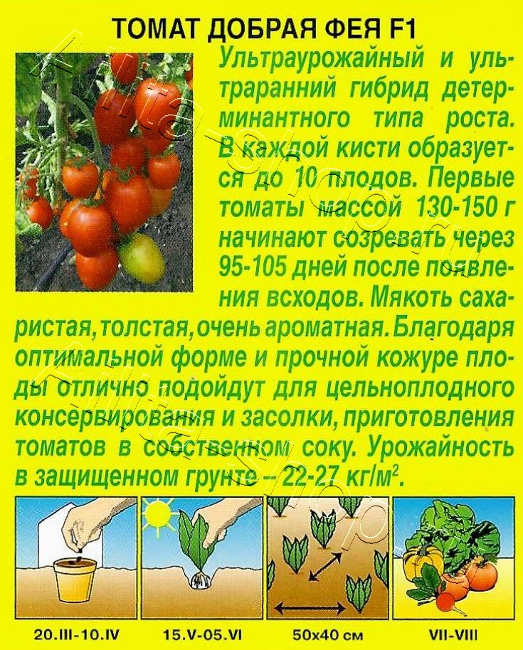 Томат Добрая фея F1 15шт