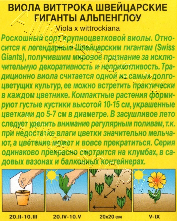 Виола Швейцарские гиганты альпенглоу 20шт