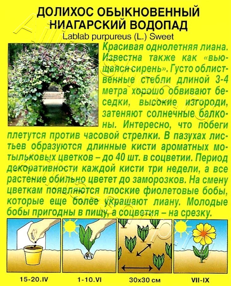 Долихос Ниагарский водопад 1г