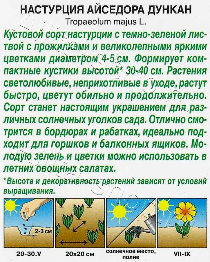 Настурция Айседора Дункан 1г