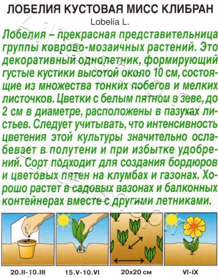 Лобелия кустовая Мисс Клибран 0,05г