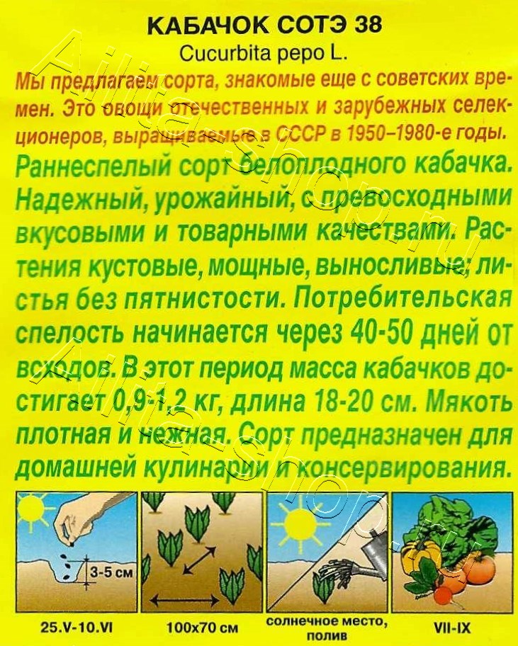 Кабачок белоплодный Сотэ 38 1г