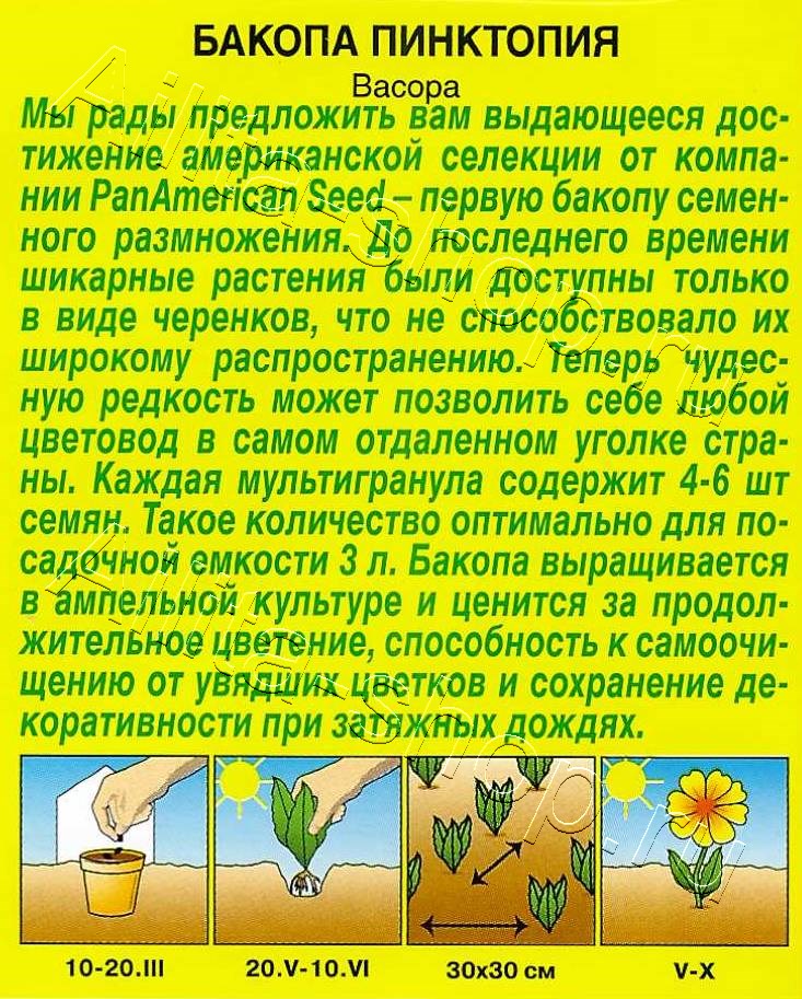 Бакопа Пинктопия 3шт