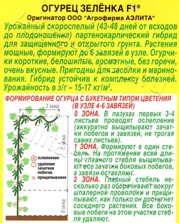 Огурец Зеленка F1 10шт