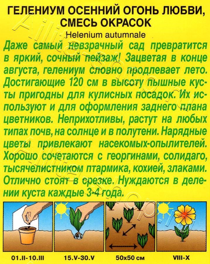 Гелениум Огонь любви, смесь окрасок 0,05г